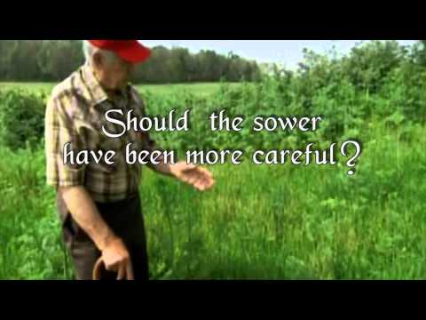 Does God Waste the Seeds of the Gospel?