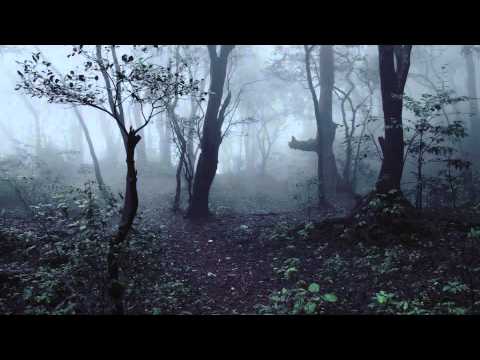 Why Do We Celebrate Death and Witchcraft?