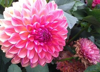 What’s So Amazing About Grace?