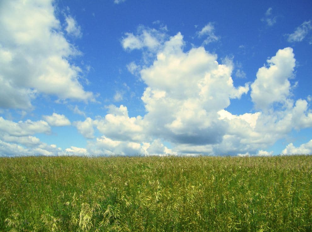 mind of God - Bible study