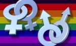 homosexuality - genders together